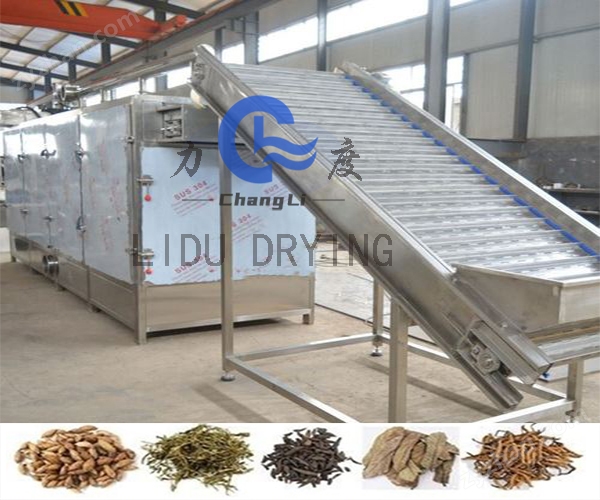 瓜子網帶干燥機